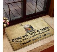 paillasson Exterieur Entree Tapis de Bienvenue Facile à Nettoyer « Au-delà des Dragons »