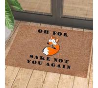 paillasson Exterieur Entree Tapis de Porte coloré « Ne Te Fais Plus jamais ça » (Renard)