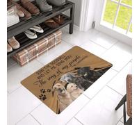 paillasson Exterieur Entree Tapis de Porte de Bienvenue Facile à Nettoyer « Chantez la Chanson de Mon Peuple » pour Labrador Retriever