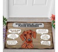 paillasson Exterieur Entree Tapis de Porte Humoristique « Teckel, n'oublie Pas, C'est chez Moi »