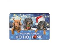 paillasson Exterieur Entree Tapis de Porte intérieur et extérieur « Teckel Bienvenue chez Nous »