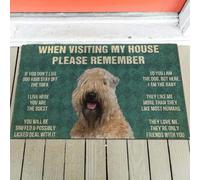 paillasson Exterieur Entree Tapis de Porte « Règles du Wheaten Terrier »