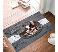 paillasson Exterieur Entree Tapis d'intérieur et d'extérieur Boston Terrier - Apparition Surprise