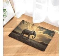 paillasson Exterieur Entree Tapis d'intérieur et d'extérieur Motif éléphant pour Les Amoureux des éléphants