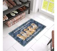 paillasson Exterieur Entree Une Maison n'est Pas Un Foyer sans Un paillasson en Caoutchouc à Motif de Golden Retriever.