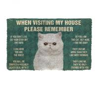 paillasson Exterieur Entree Veuillez Respecter Les règles de la Maison pour Les Chats Exotiques à Poil Court. Paillasson