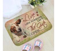 paillasson Exterieur Entree Vivez comme si Quelqu'un Avait laissé la Porte Ouverte Paillasson Basset Hound