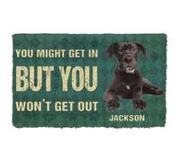 paillasson Exterieur Entree Vous Pourrez Entrer, mais Vous ne sortirez Pas. Paillasson pour Chien Grand Danois