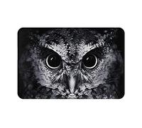 Paillasson Facile À Nettoyer Tapis Bains Hibou, Je Serai Toujours À Tes Côtés Lavable Tapi Entrée pour Déco Intérieur Entrée 40X60Cm
