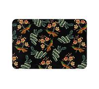 Paillasson Feuilles de colibri Tapis de porte intérieur doux et antidérapant Tapis de sol absorbant pour la maison Tapis de sol intérieur résistant aux taches 23,6 x 15,7 pouces pour la terrasse d'e