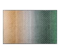 Paillasson Green Desert Tapis d'entrée Lavable Diff. Tailles wash+dry Design