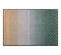 Paillasson Green Desert Tapis d'entrée Lavable Diff. Tailles wash+dry Design