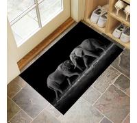 Paillasson Intérieur 60 X 90 Cm, Éléphant Gris Absorbant Paillassons Interieur Entree, Lavable, Résistant, Photographier Les Animaux Confortable pour Entrée, Salle De Bain, Chambre - Noir