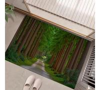 Paillasson Interieur Entree 45 X 75 Cm, Tapis D'Entrée Antidérapant Chemin La Jungle, Tapis De Sol Paysages Naturels Douces Absorbantes pour Entrée, Couloir, Chien, Couleurs Mélangées