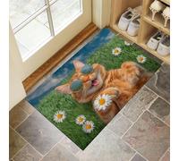 Paillasson Interieur Entree Antidérapant 45 X 75 Cm, Chat Drôle Tapis Entree Interieur, Paillasson Antidérapant Chrysanthème des Prés, Absorbe l'eau Ramasse La Saleté pour Entrée, Intérieur (Vert)