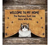 Paillasson Interieur Tapis d'entrée Bienvenue dans ma Maison Cadeaux pour Les Amoureux des Chats Nom personnalisé Paillasson Décor à la Maison Decoration Maison