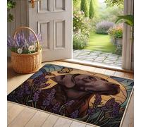 Paillasson marron lavande pour porte d'entrée de laboratoire pour extérieur et intérieur, décoration printanière, caoutchouc imperméable, antidérapant, absorbant la poussière, facile à nettoyer, 73,7