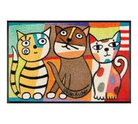 Paillasson Miezentreffen 75 x 50 cm Tapis d'entrée Lavable wash+dry Design