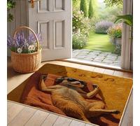 Paillasson motif suricate musical, orange cool pour décoration intérieure et extérieure, décoration de saison amusante, antidérapant, absorbant la poussière, facile à nettoyer, 73,6 x 43,2 cm