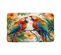 Paillasson Perroquets Oiseaux Tropicaux Aquarelle Feuilles Vertes Fleurs Plantes Forêts Animaux Paillassons Interieur Résistant Tapis De Porte Absorbant pour Couloir Jardin 40X60 Cm