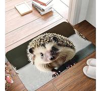 Paillasson rectangulaire en caoutchouc avec motif hérisson, tapis d'entrée d'intérieur et d'extérieur, 40 x 60 cm