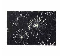 Paillasson Schöner Wohnen Manhattan pissenlit anthracite-mint 044 | 67x100 cm