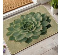 Paillasson succulent à l'aloe vera vert pour entrée extérieure et intérieure, style naturel, en caoutchouc imperméable, antidérapant, absorbant la poussière, facile d'entretien, 73,6 x 43,2 cm
