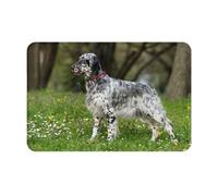 Paillasson Tapis Tapis Tapis Polyester Antidérapant Décor de Sol Absorbant Salle de Bain Pad,Setter Anglais Pelouse Animaux Chiens Setter Anglais