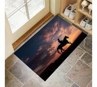 Paillassons Intérieur Coucher Soleil Cavalier, Paillassons Souples Lavables en Machine Nature Paysage, Paillasson Bleu Absorbant à Profil Bas pour Porte Arrière Avant 90 x 150 cm