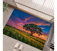 Paillassons Intérieur, Paillassons Champ Blé, Paillasson Absorbant Antidérapant À Profil Bas Coucher Soleil Romantique pour Entrée, Porte Arrière Avant, 40 X 60 Cm Couleurs Mélangées