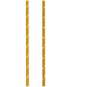 Paille 5FIVE x100 Papier Jangal