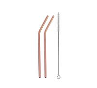 Paille Inox Colorful Stainless Steel Drinking Straws Straight and Bent Reusable Filter With Brush DIY Tea Coffee Tools Party Bar Accessories pour jus et boissons(A-2Pcs-RG)