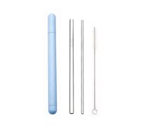 Paille Inox Stainless Steel Straw Set Metal Straw Reusable Drinking Straw With Cleaner Brush Portable Box(Silver-Blue Box)