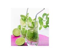 4 pailles inox Multicolore G