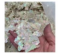 Paillettes Shell, Tranches de coquille d'ormeau 3D strass holographiques décalcomanies for Nail Art 20g multicolore(Natural)