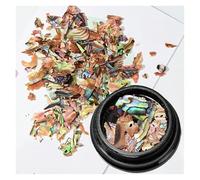 Paillettes Shell, Tranches de coquille d'ormeau Nail Art paillettes décoration accessoires à créer soi-même 1 Pot multicolore PD-0169(PD-0169-4)