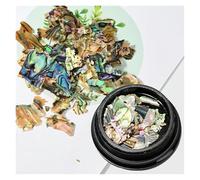 Paillettes Shell, Tranches de coquille d'ormeau Nail Art paillettes décoration accessoires à créer soi-même 1 Pot multicolore PD-0169(PD-0169-10)