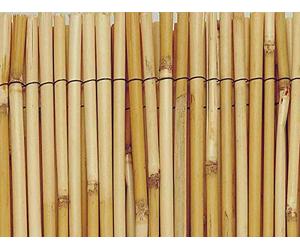 Paillon de roseaux entier reedcane 1m50x5m