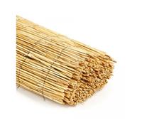 Paillon - NATURE - Tiges de roseaux naturels pelés - 3 x 1 m