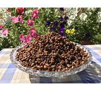 Pain d'abeille, Perga, pollen d'abeille fermenté, cru et naturel, sans agent de conservation, sans génie génétique, adapté aux végétariens, 1 kg., Récolte 2021