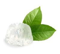Pain de savon 100 g translucide - graine créative Incolore