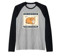 Pain drôle pour Chat Physique Solide Science de l'État Chaton Meme Lover Manche Raglan