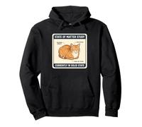 Pain drôle pour Chat Physique Solide Science de l'État Chaton Meme Lover Sweat à Capuche