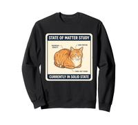 Pain drôle pour Chat Physique Solide Science de l'État Chaton Meme Lover Sweatshirt