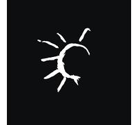 In The Passing Light Of Day Edition limitée Pain of Salvation (Interprète)