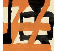 Wang Wen – Painful Clown & Ninja Tiger – Vinyle 2 LP (noir) – The Orchard