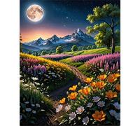 Paint by Number for Adult,Field Moon DIY Oil Painting Kits on Canvas for Beginner,with Brushes and Acrylic Pigment,Paint by Numbers Arts and Crafts Kit for Home Decor Without Frame,40x50cm