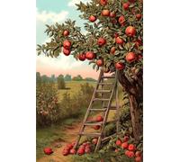 Paint by Number for Adult,Fruit Trees Field DIY Oil Painting Kits on Canvas for Beginner,with Brushes and Acrylic Pigment,Paint by Numbers Arts and Crafts Kit for Home Decor Without Frame,55x70cm