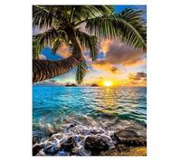 Paint by Number for Adult,Sea Sunset DIY Oil Painting Kits on Canvas for Beginner,with Brushes and Acrylic Pigment,Paint by Numbers Arts and Crafts Kit for Home Decor Without Frame,55x70cm
