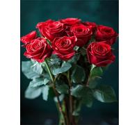 Paint by Number for Adults Rouge, Rose Paint by Number, DIY Canvas Oil Painting Kit for Kid, Toile créative Peinture L'art artisanal Débutants, Pour la décoration murale à la maison 40x50cm Q-137